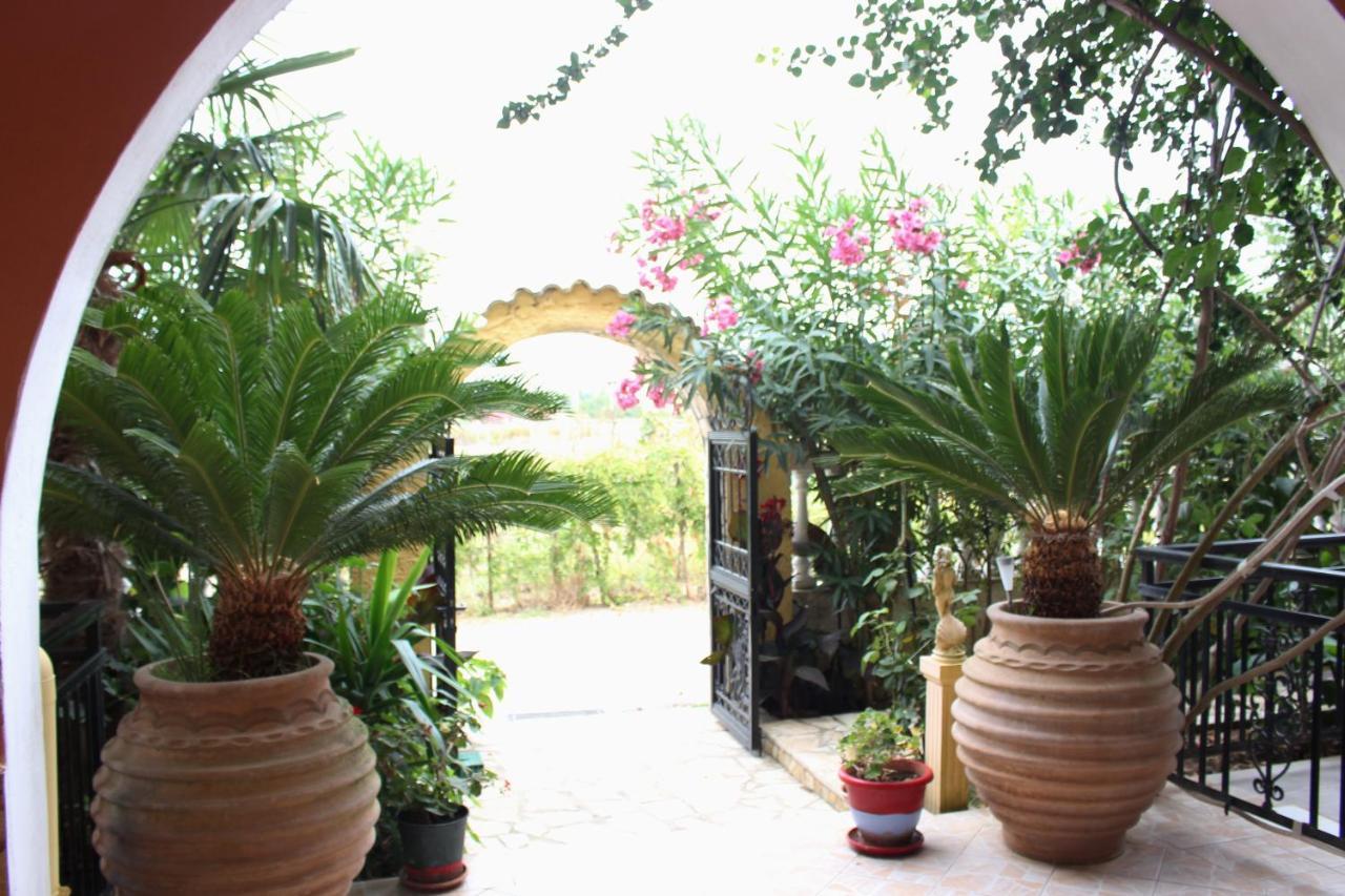 Villa Nefeli Agios Georgios  Exteriör bild